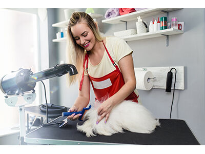 Finding the Right Grooming Table
